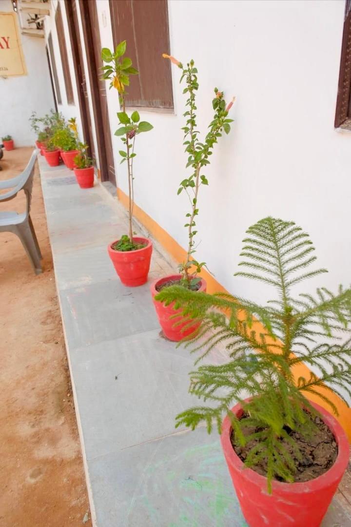 Backpackers Karma Home Stay Khajurāho Exterior foto