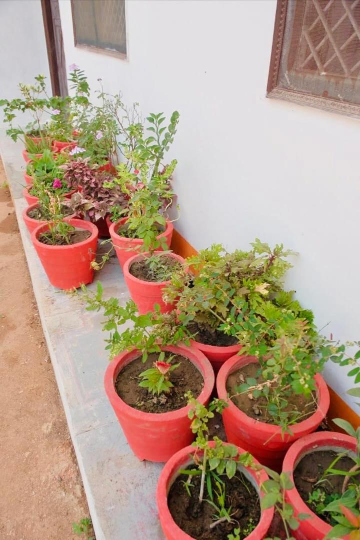 Backpackers Karma Home Stay Khajurāho Exterior foto
